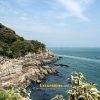 Visit Odongdo Island on Yeosu shore excursions