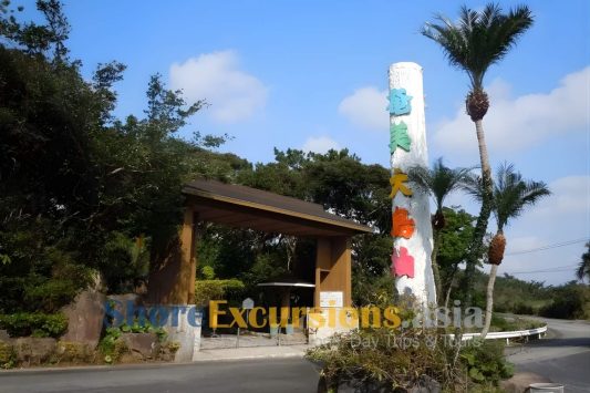 Visit Oshima Tsumugi-mura Village