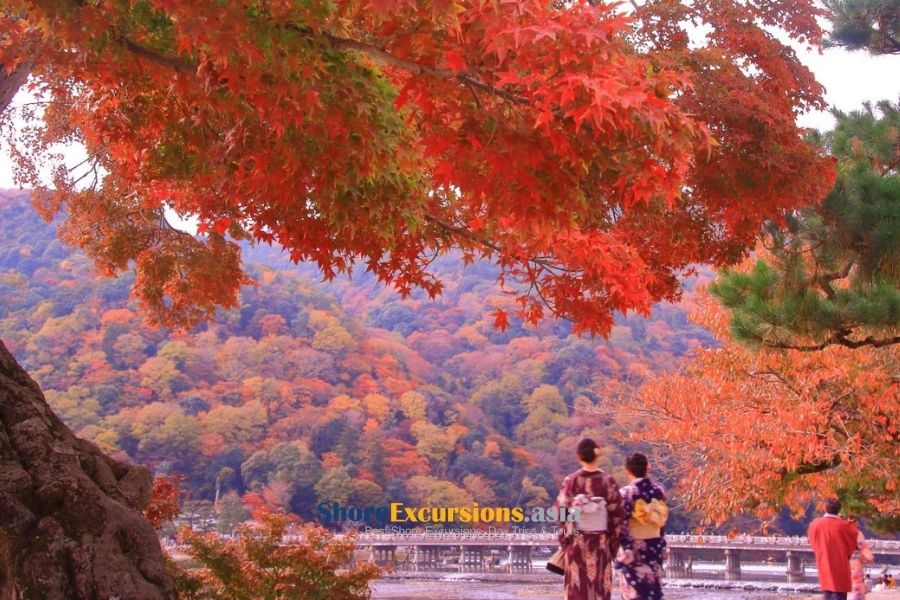 Visiting Japan in November - Kyoto