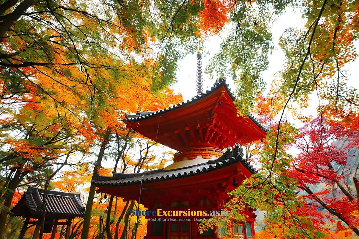 Visiting Osaka in Autumn - Best time to visit Osaka