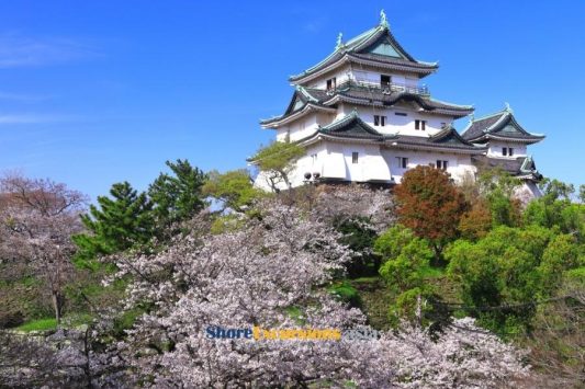 Wakayama Castle on shore excursions