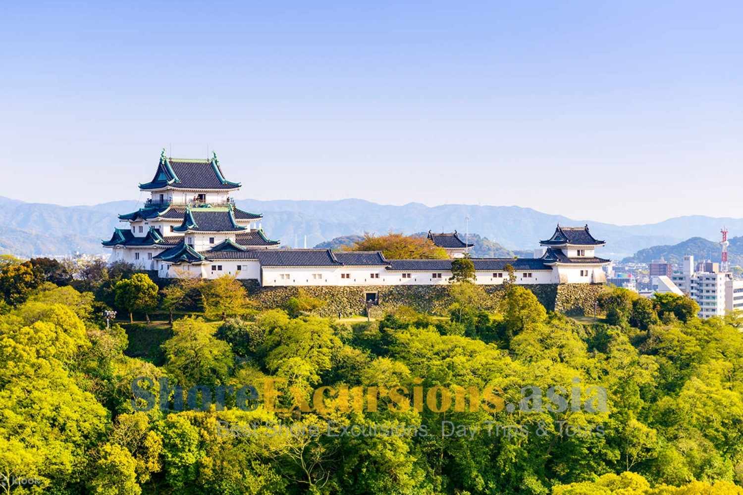 Wakayama Castle tours from cruise port