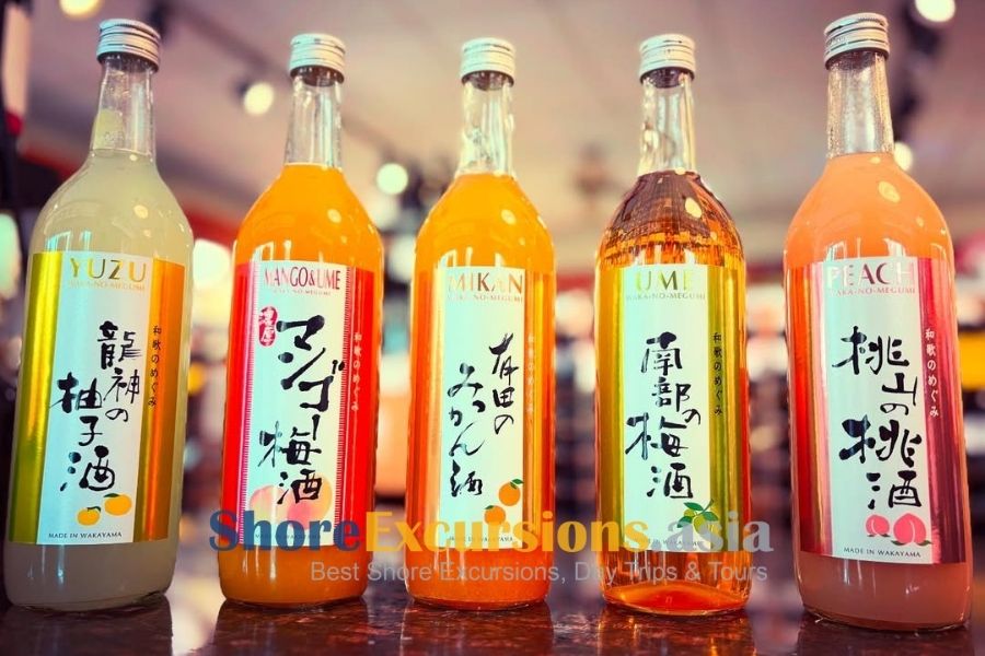 Wakayama local sake on shore tours