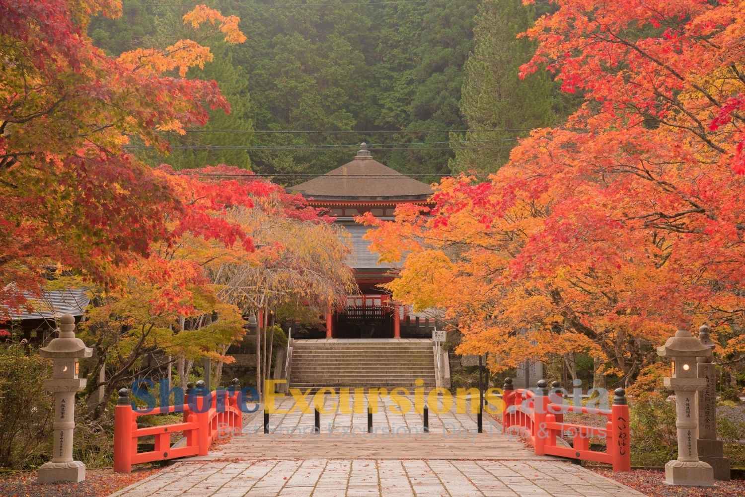 Wakayama shore excursions in autumn