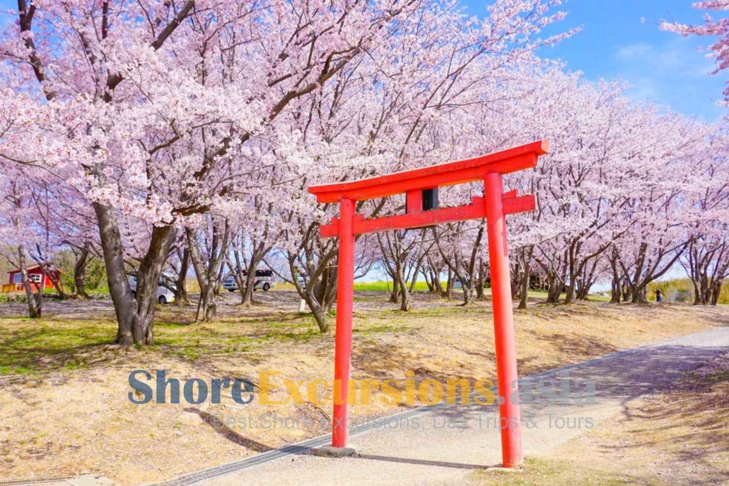 Wakayama shore excursions in spring