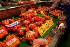 Washo Fish Market Kushiro shore excursions