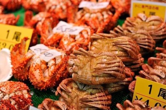 Washo Fish Market attractions Kushiro shore excursions