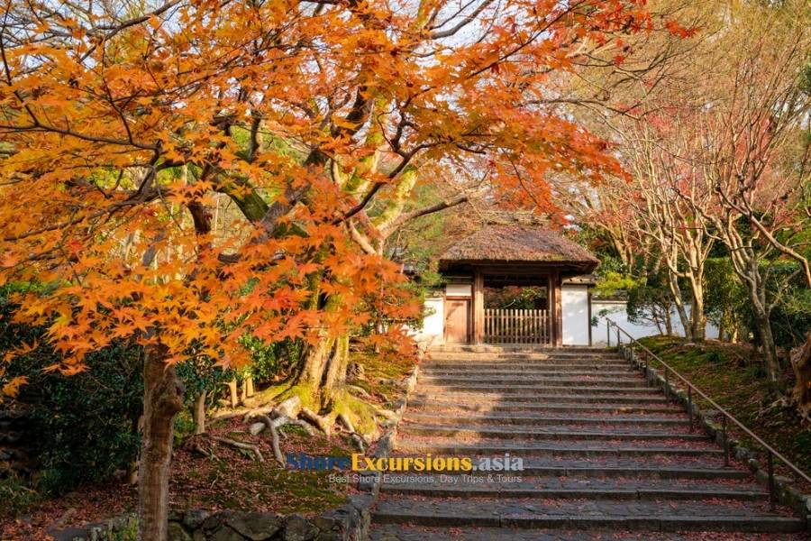Weather in Japan in November