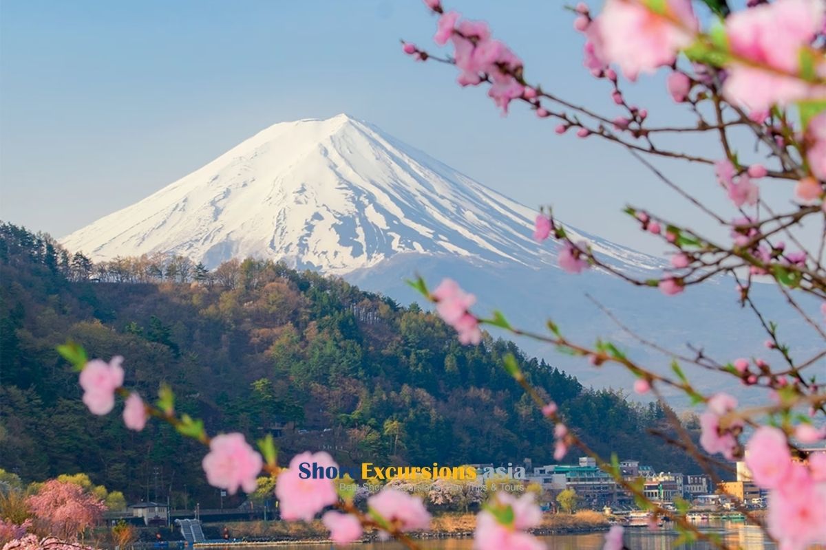 Why Mount Fuji Is So Important in Japan