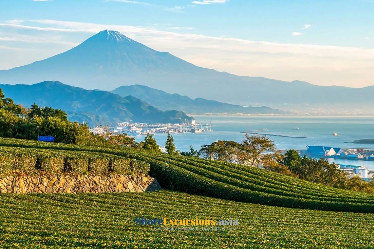 Why Visit Shimizu on Your Japan Itinerary