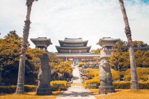 Yakcheonsa Temple on Jeju exploring day tour
