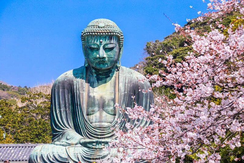 yokohama and kamakura day trip