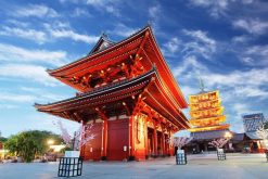 Yokohama-Tokyo-shore-excursions