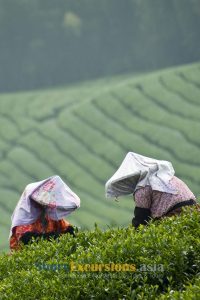 best Taiwan cruise excursions