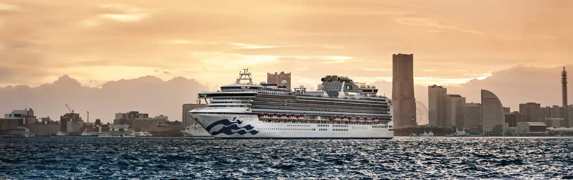 diamond princess shared excursions banner