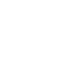 Japan cruise excursions number icon