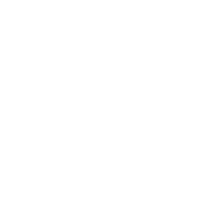 Japan cruise excursions number icon