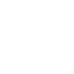 Japan shore tours number icon