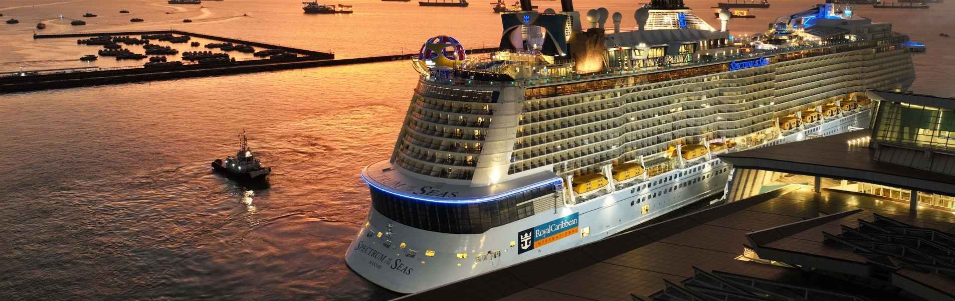 spectrum of the seas shared excursions banner